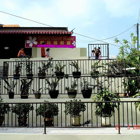 Sakura Guest House مرتفعات كاميرون المظهر الخارجي الصورة