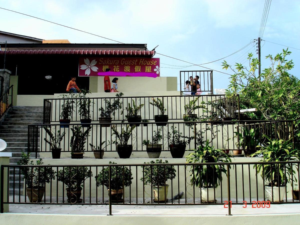 Sakura Guest House مرتفعات كاميرون المظهر الخارجي الصورة